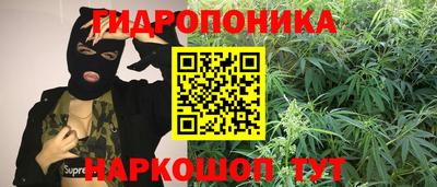 дурь Краснознаменск